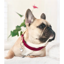 Load image into Gallery viewer, Fur-ever Love, Custom Artisan Dog Jewelry/ Pet ID Tag