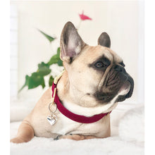 Load image into Gallery viewer, Fur-ever Love w/ Diamond, Custom Artisan Dog Jewelry/ Pet ID Tag