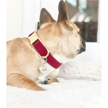 Load image into Gallery viewer, Fur-ever Love w/ Birthstone, Custom Artisan Dog Jewelry/ Pet ID Tag