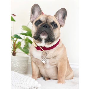 Fur-ever Love w/ Birthstone, Custom Artisan Dog Jewelry/ Pet ID Tag