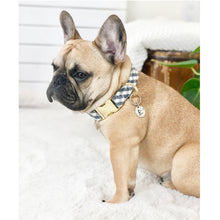 Load image into Gallery viewer, Medallion w/Birthstones, Custom Artisan Dog Jewelry/ Pet ID Tag